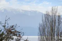View 30