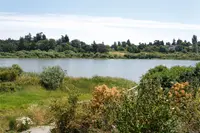 View 40