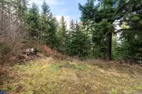 View 4