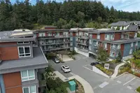 View 32