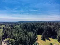 View 91