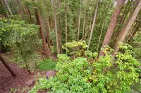 View 16