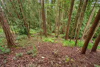 View 38