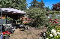 View 52