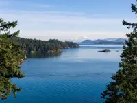 View 60