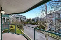View 14