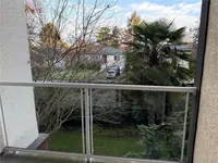 View 14