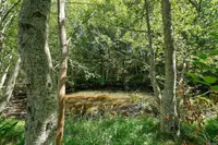 View 27