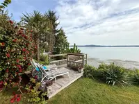 View 50