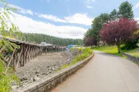 View 55