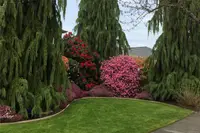 View 56