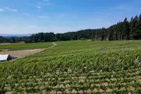 View 29