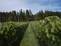 View 21
