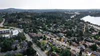 View 54