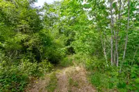 View 35
