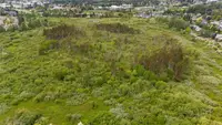 View 45