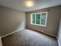 View 39