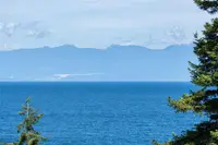 View 12