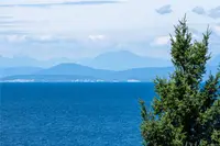 View 11