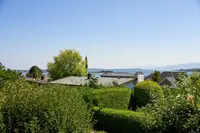 View 59