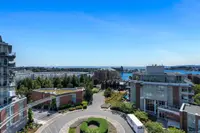 View 39