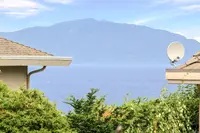View 59