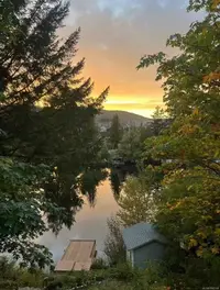 View 49