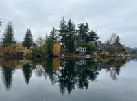 View 51