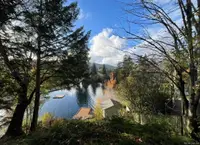View 50