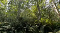 View 10