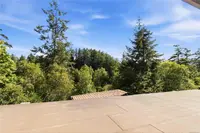 View 49