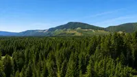 View 76