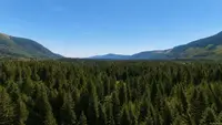 View 79