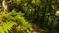 View 82