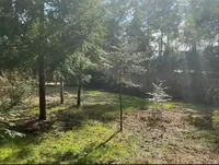 View 6