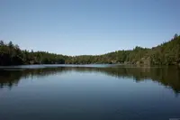 View 42