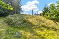 View 51