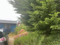 View 16