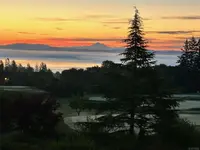 View 35