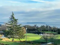 View 31