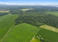 View 45