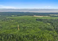 View 31