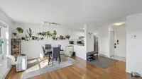 View 11