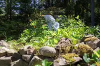 View 57