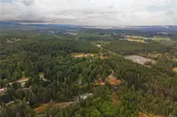 View 54