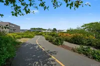 View 29