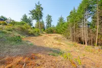 View 31