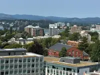 View 26