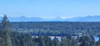View 16