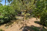 View 33